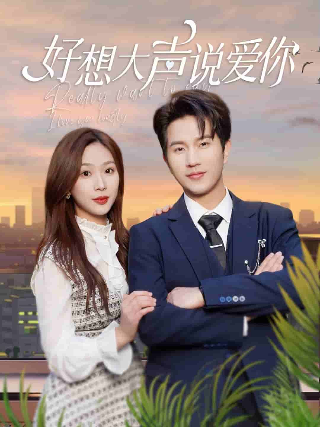 好想大声说爱你 海报