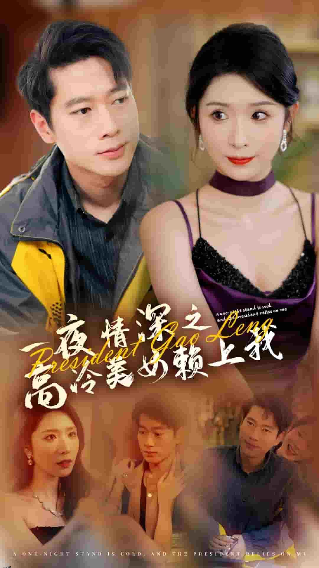 一夜情深之高冷美女赖上我 高清海报