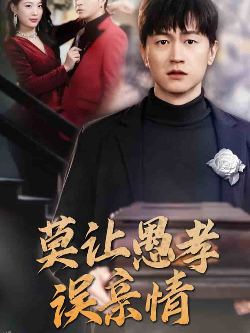 莫让愚孝误亲情 海报