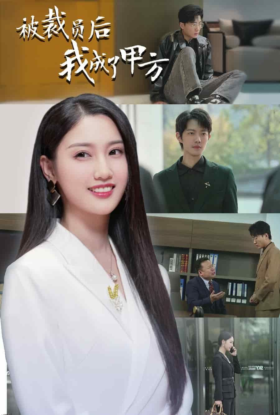 被裁员后我成了甲方 高清海报