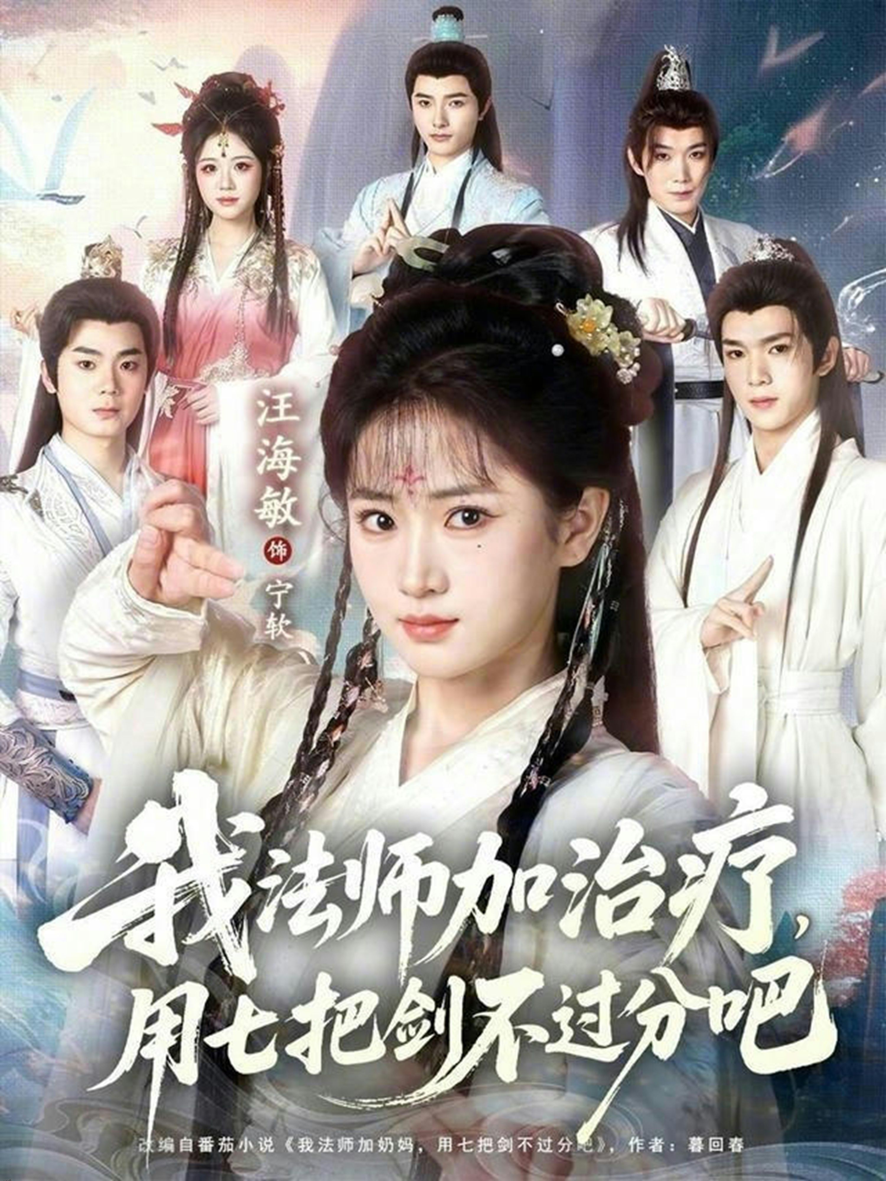 我法师加治疗，用七把剑不过分吧 海报