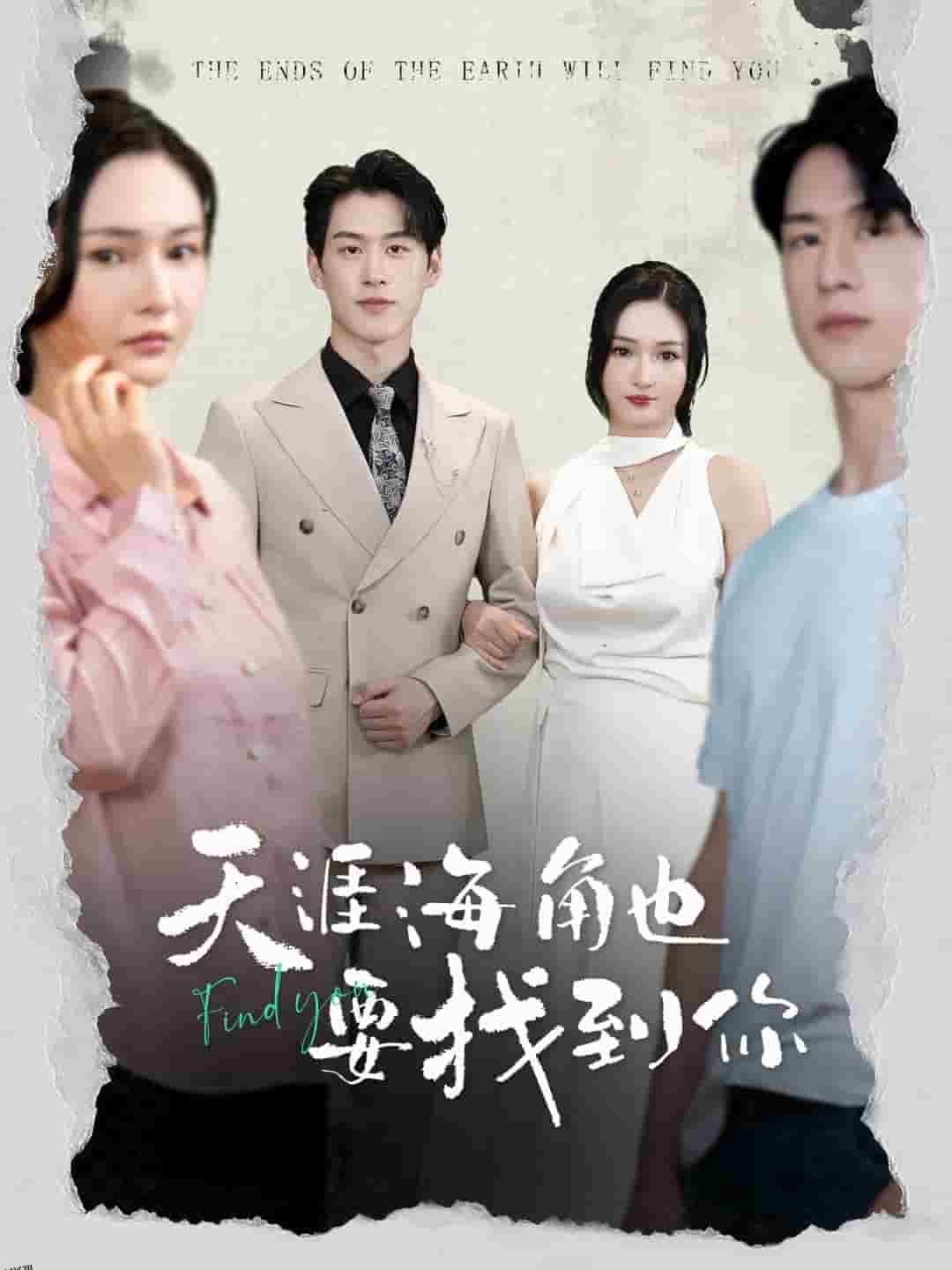 天涯海角也要找到你 高清海报