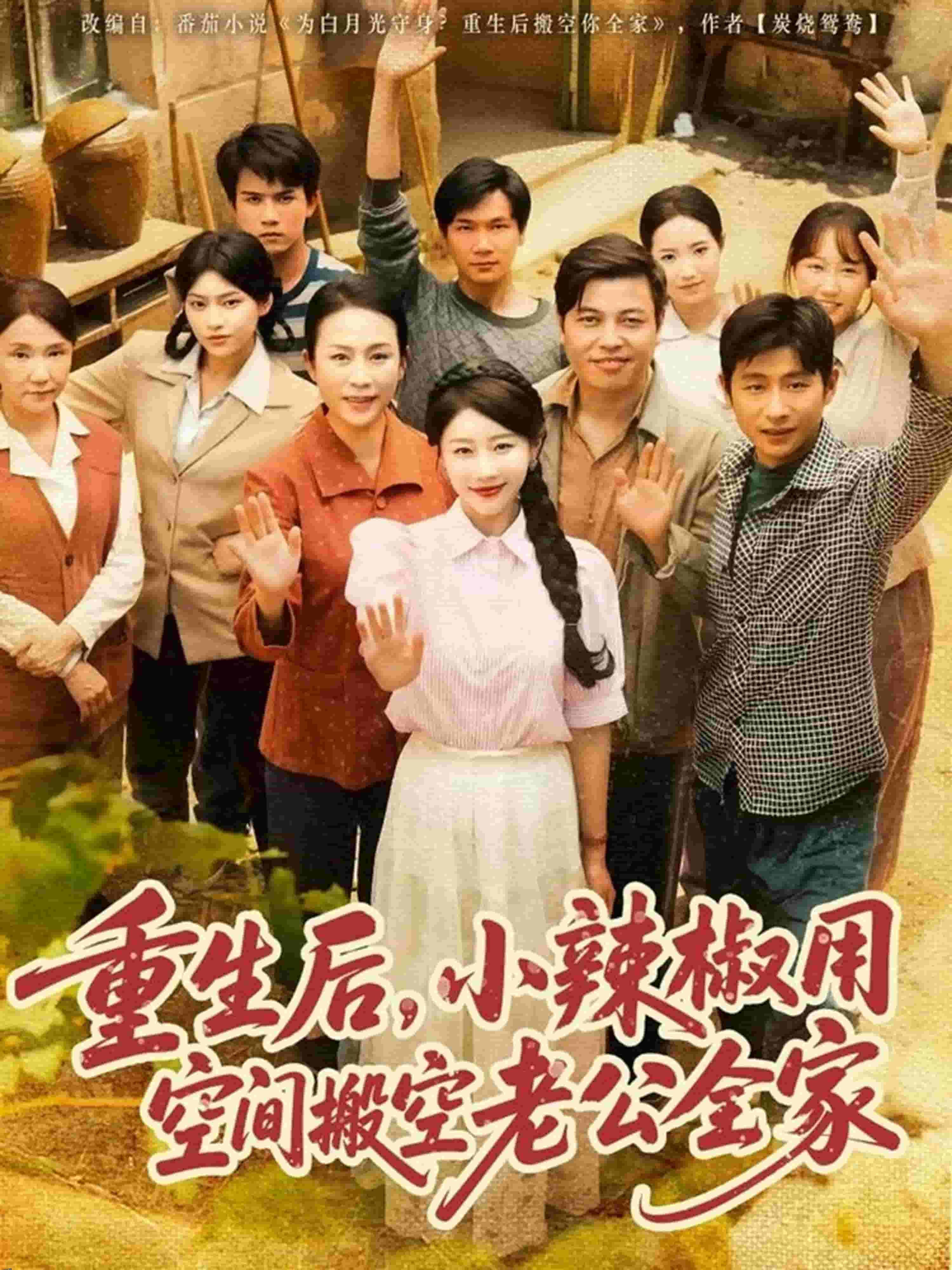 重生后，小辣椒用空间搬空老公全家 海报