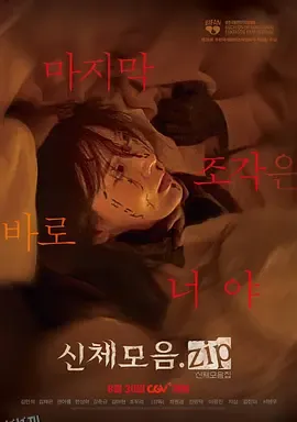 身体集合.zip 海报