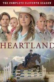 心灵之地第十一季 海报