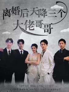 离婚后天降三个大佬哥哥 海报