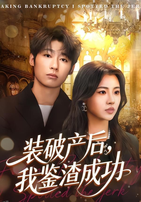 装破产后，我鉴渣成功 海报