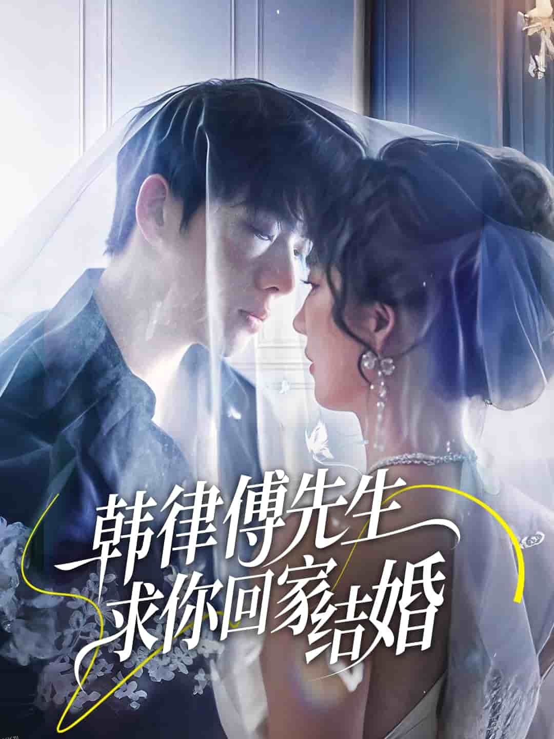 韩律傅先生求你回家结婚 海报