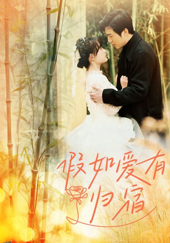假如爱有归宿 海报