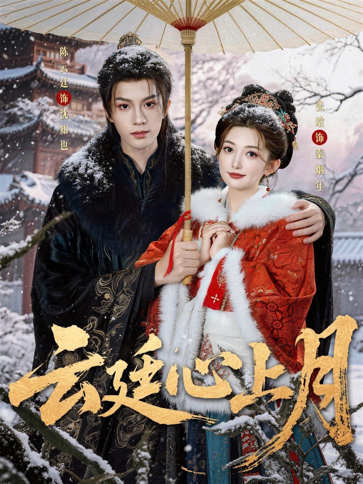 云廷心上月 海报