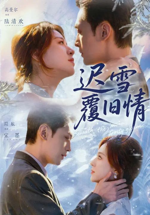 迟雪覆旧情 海报