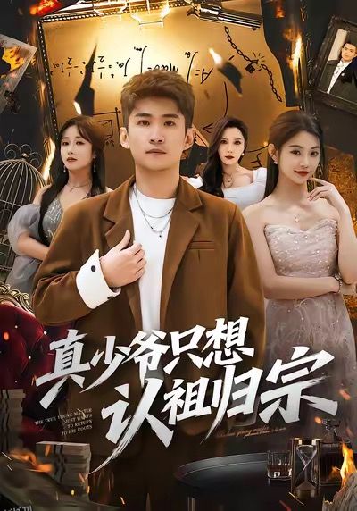 真少爷只想认祖归宗 海报