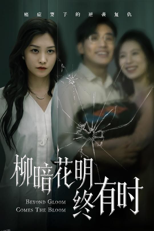 柳暗花明终有时 海报