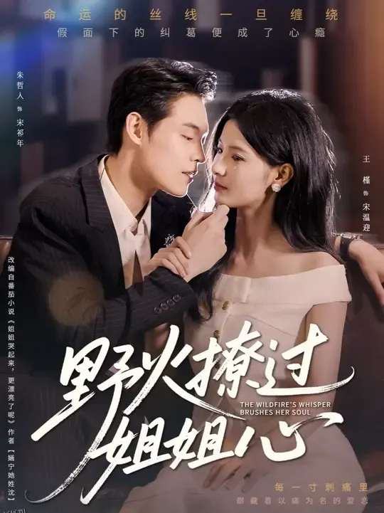 野火撩过姐姐心 海报