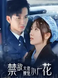 禁欲大佬撩宠小厂花 海报