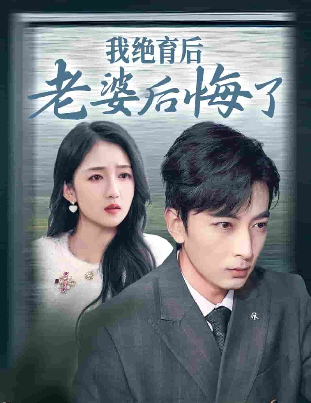 我绝育后老婆后悔了 海报