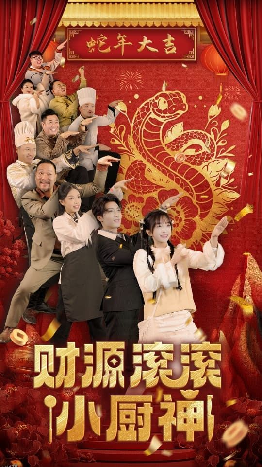财源滚滚小厨神 海报