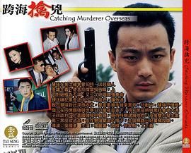 跨海擒兇 海报