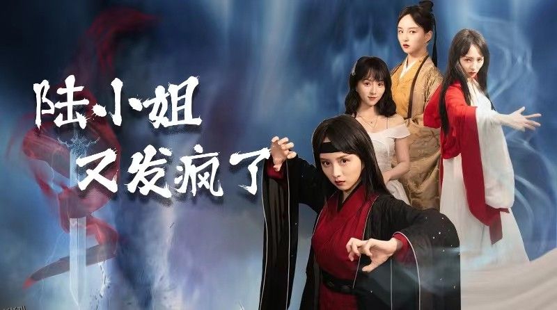 陆小姐又发疯了 海报