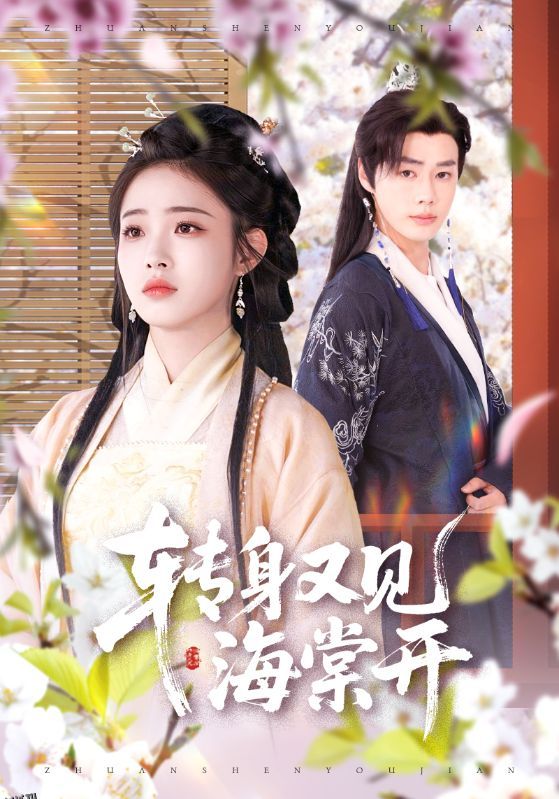 转身又见海棠开 海报