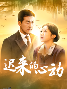 迟来的心动 海报