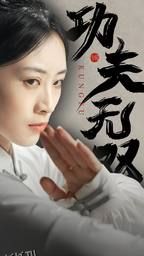 功夫无双 海报