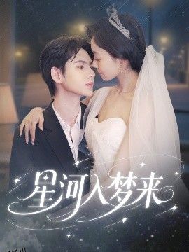 星河入梦来 海报