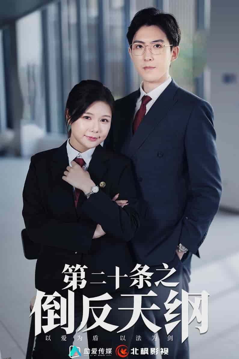 第二十条之倒反天纲 海报