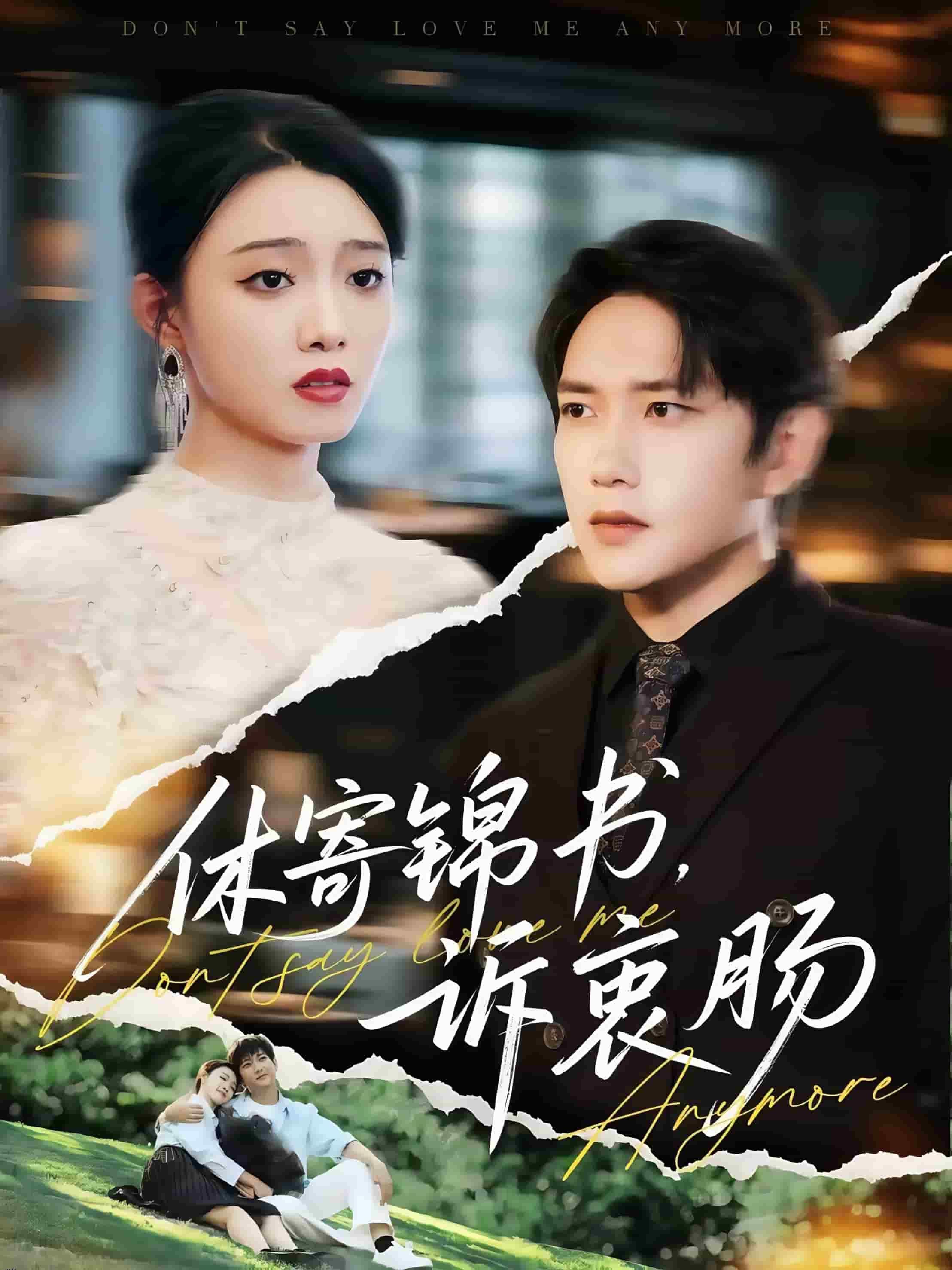 休寄锦书诉衷肠 海报