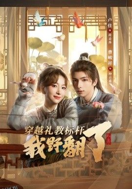 穿越礼教标杆我野翻了 海报