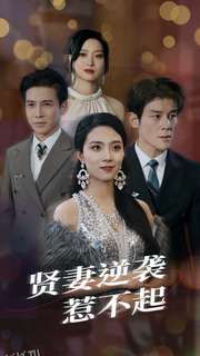 贤妻逆袭惹不起 海报