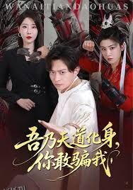 吾乃天道化身你敢骗我 海报