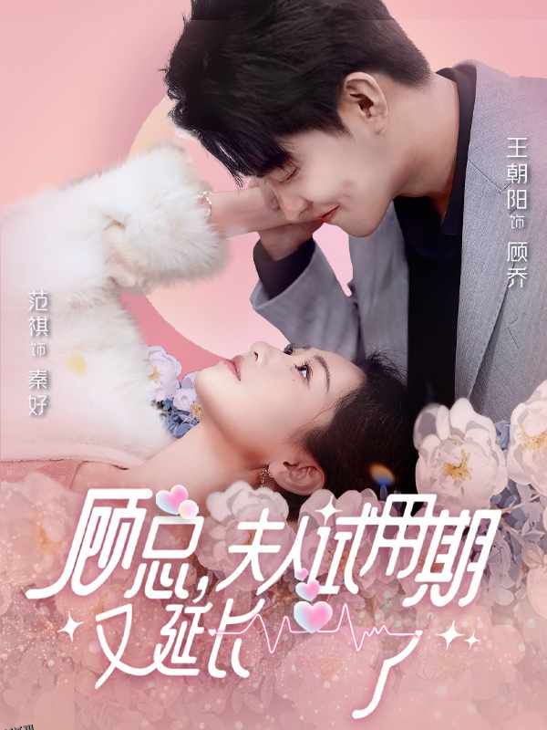 顾总，夫人试用期又延长了 海报