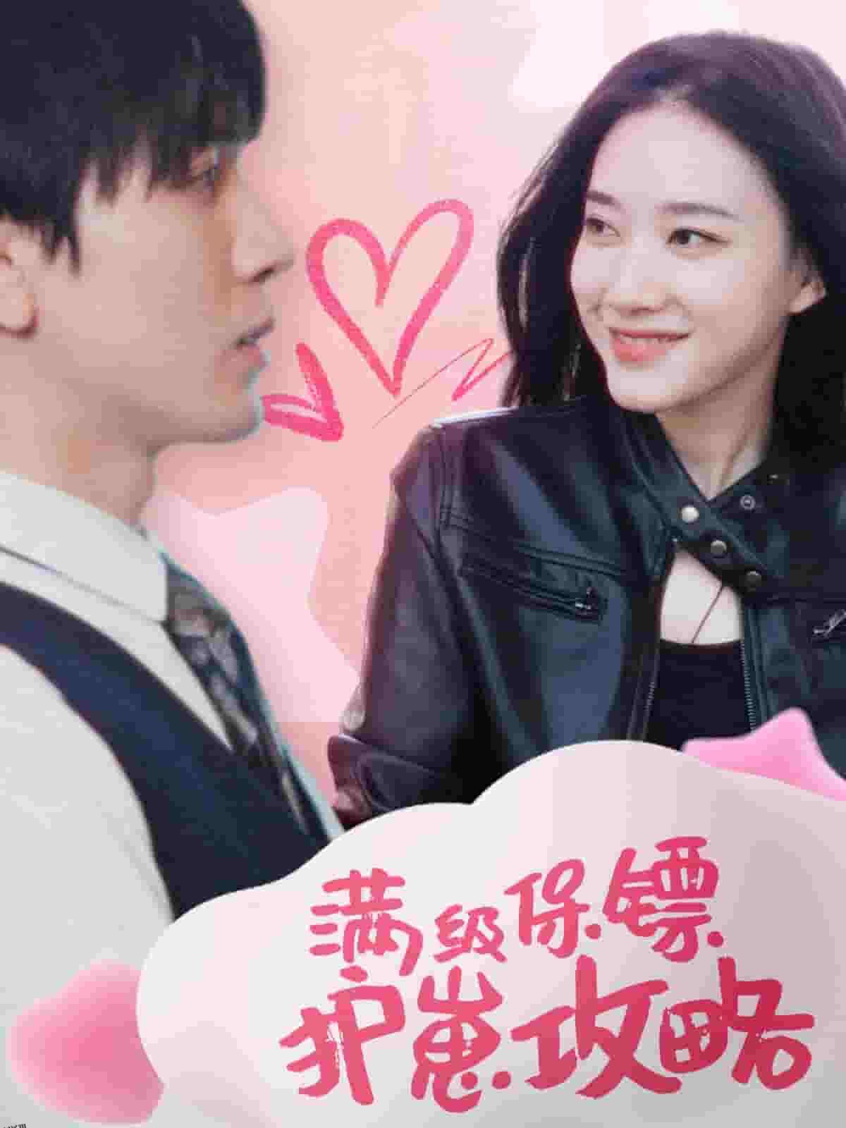 满级特工的抢崽攻略 海报