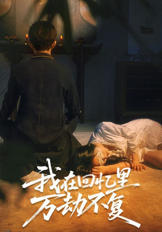 我在回忆里万劫不复 海报