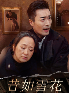 昔如雪花 海报