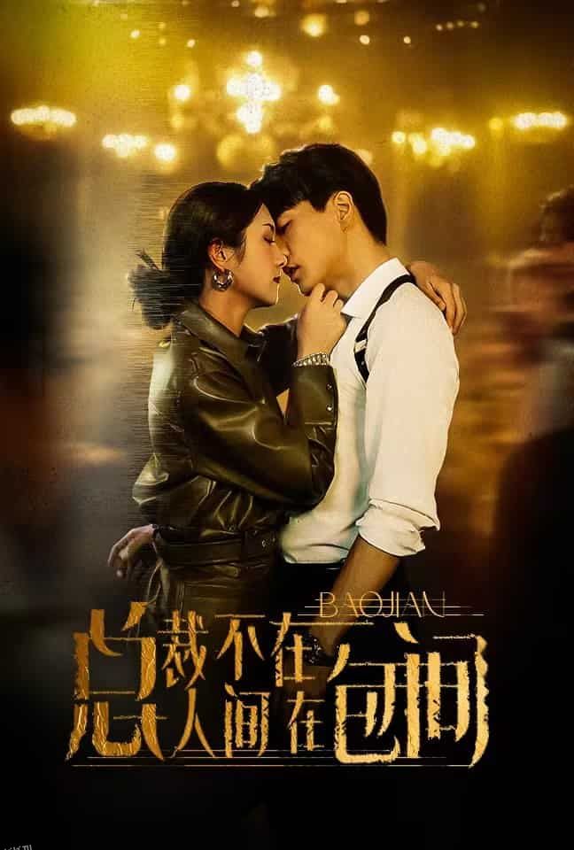 总裁不在人间在包间 海报