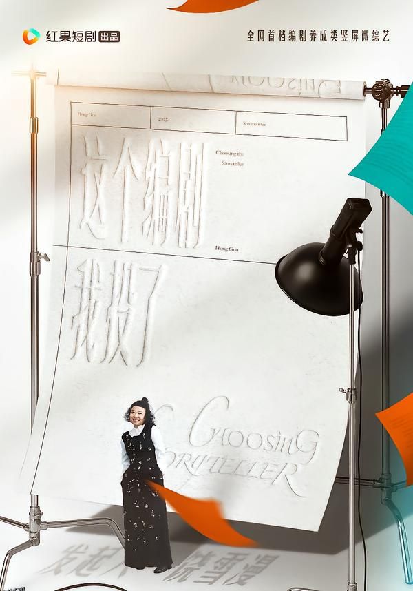 这个编剧我投了 海报