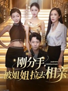 刚分手，被姐姐拉去相亲 海报