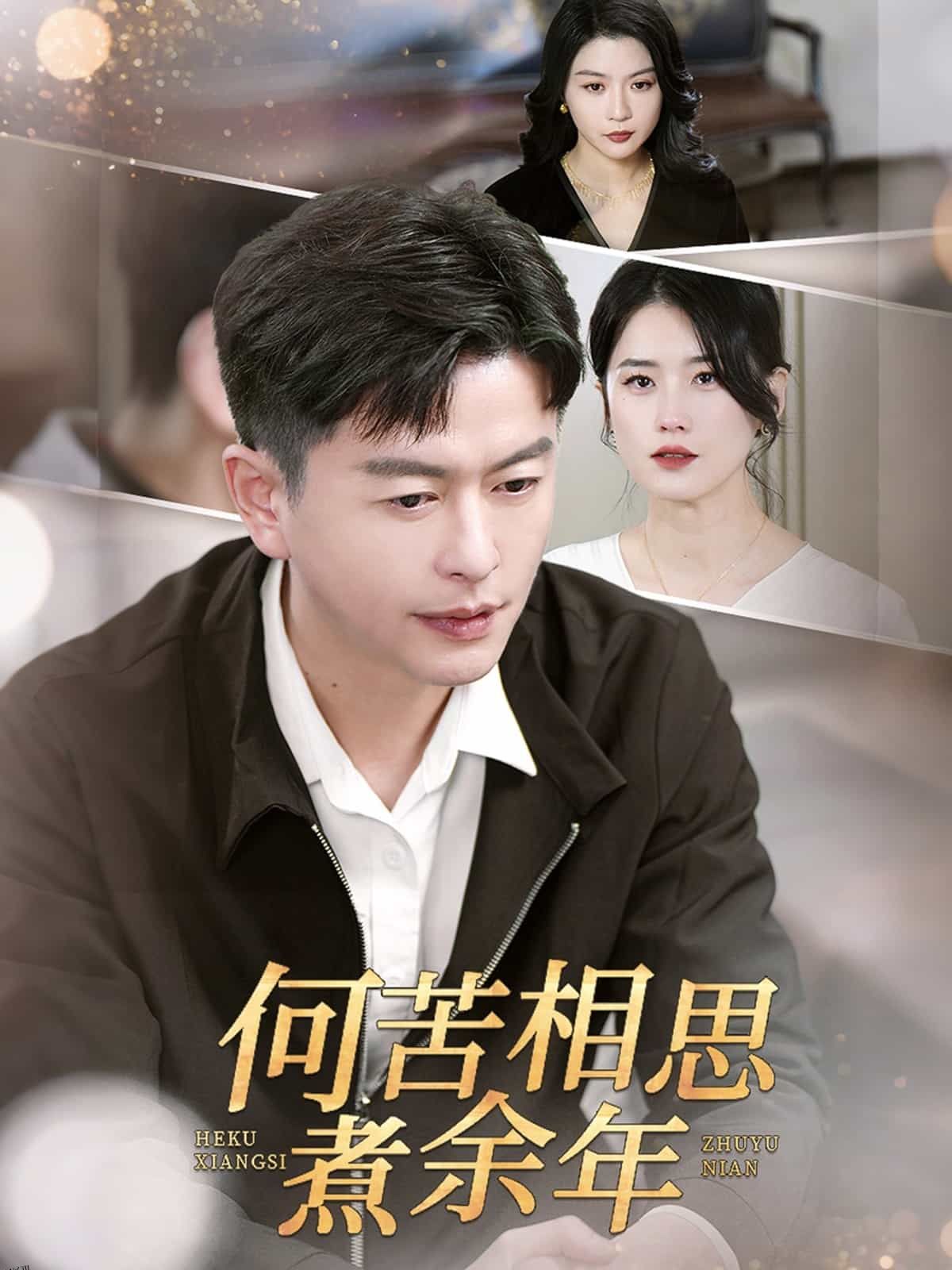 何苦相思煮余年 海报