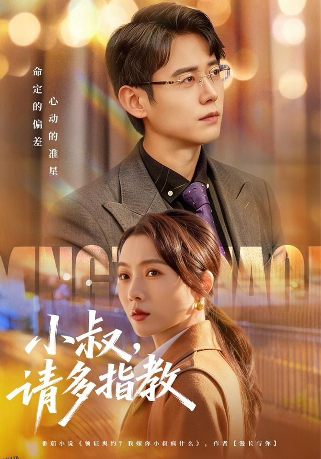 小叔请多指教 海报