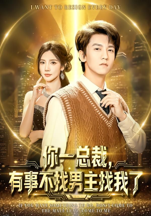 你一总裁，有事不找男主找我了 海报