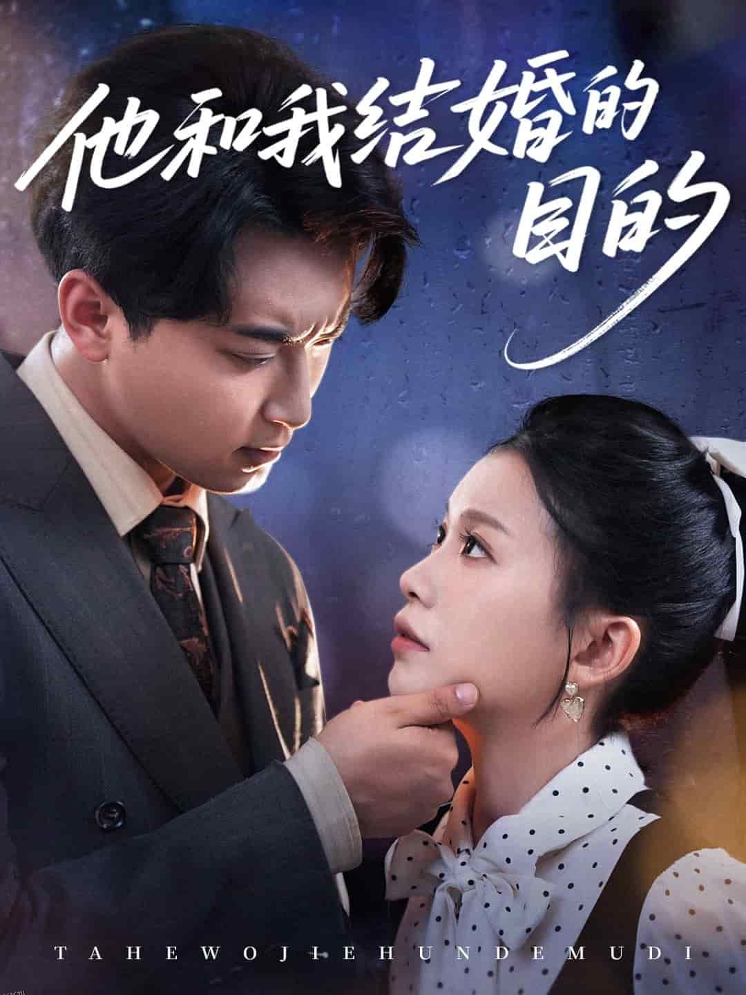 他和我结婚的目的 海报