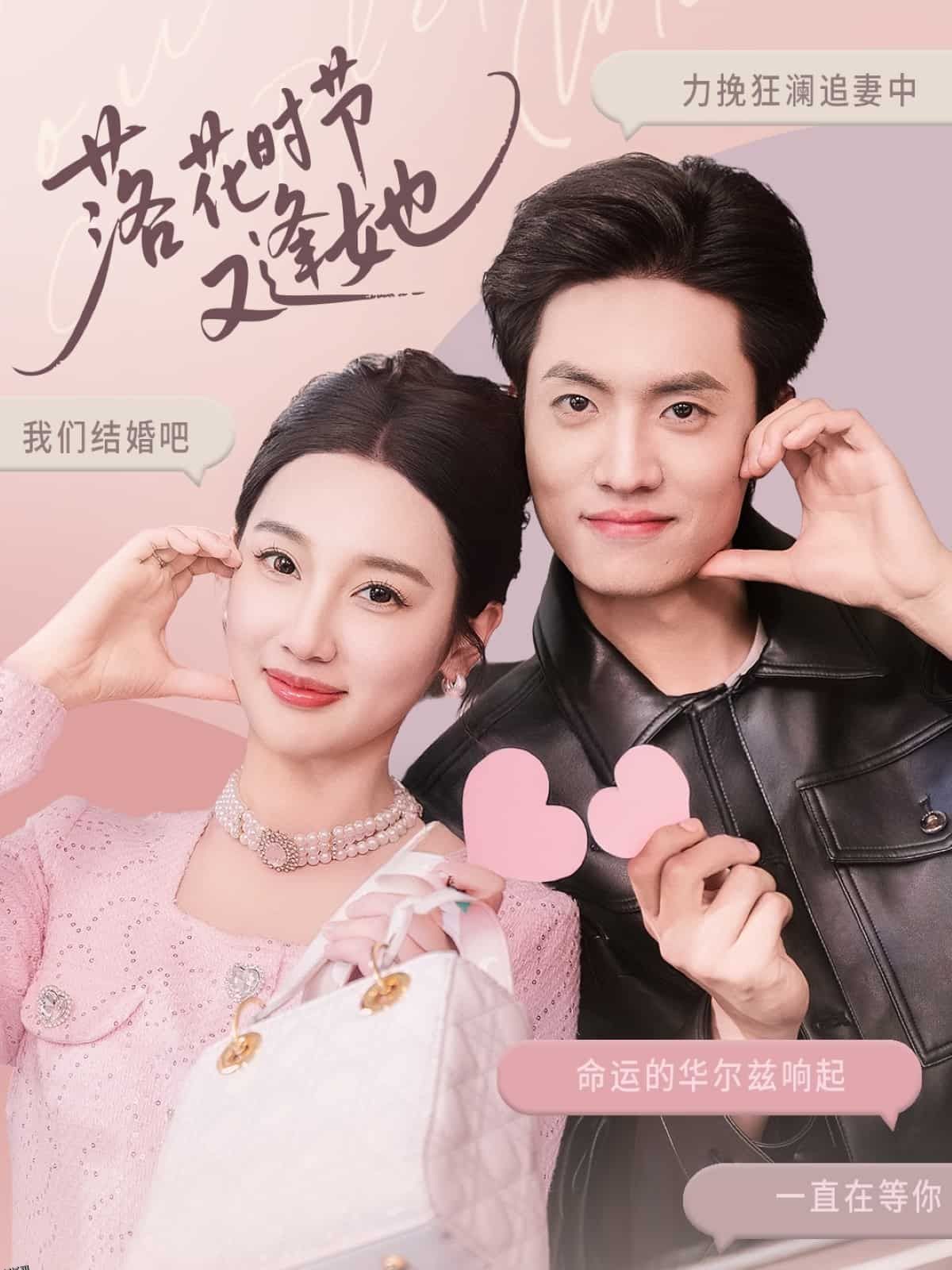 落花时节又逢她 海报