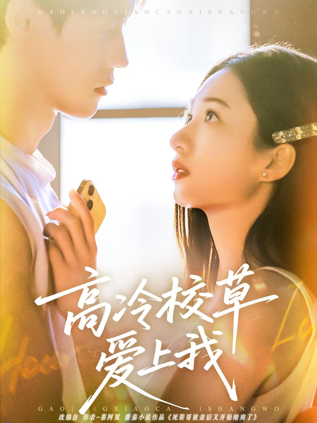 高冷校草爱上我 海报