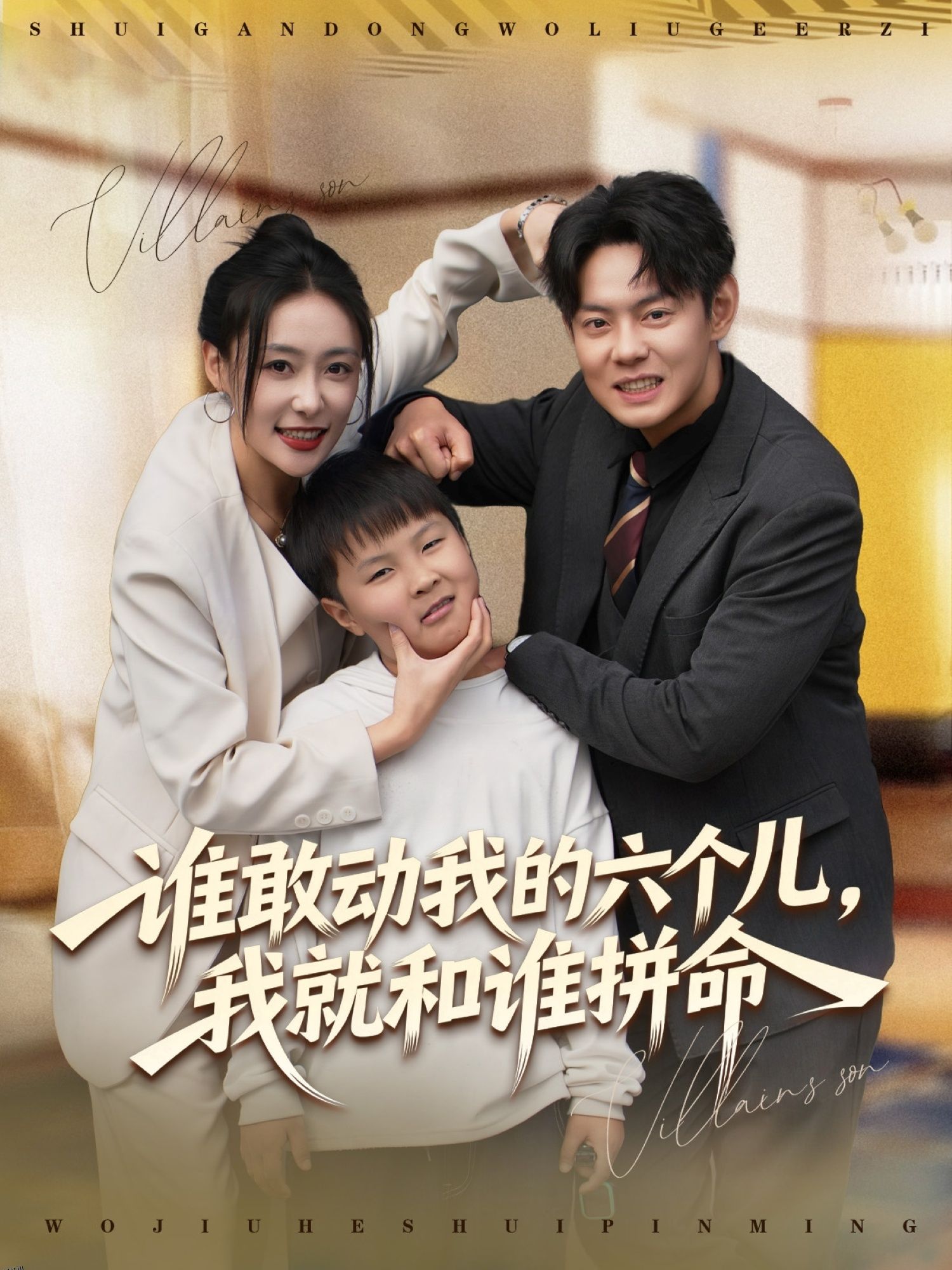 谁敢动我的六个儿，我就和谁拼命 海报