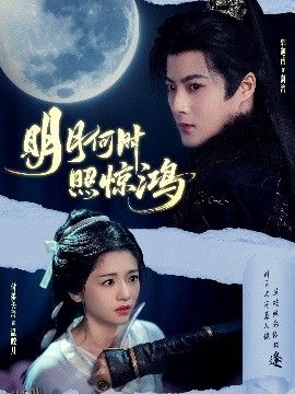 明月何时照惊鸿 海报