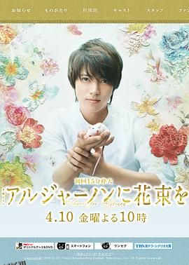 献给阿尔吉侬的花束 海报