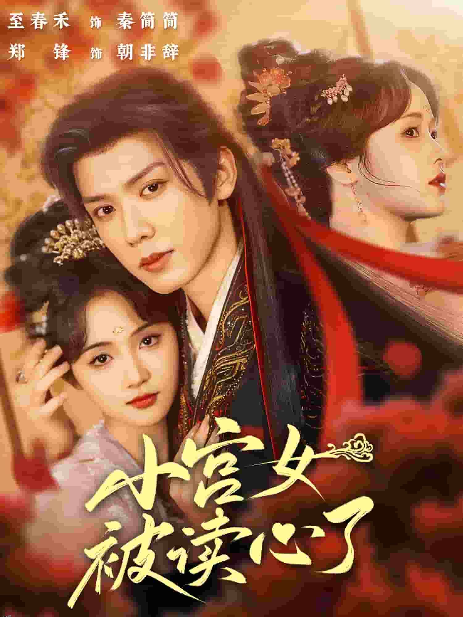 小宫女被读心了 海报