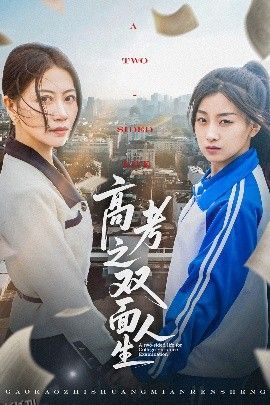 高考之双面人生 海报